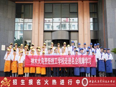 初中毕业学什么？来神木